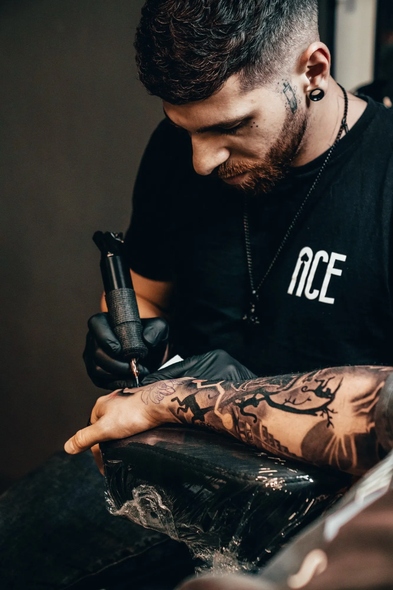 Vlad Shulea, portret